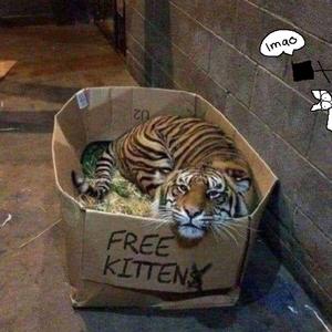 久久久久亚洲AV成人人电影
