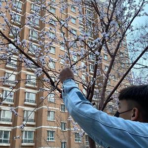 久久久久亚洲AV成人人电影
