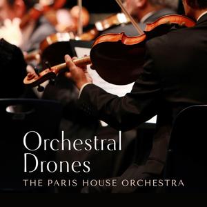 久久久久亚洲AV成人人电影
